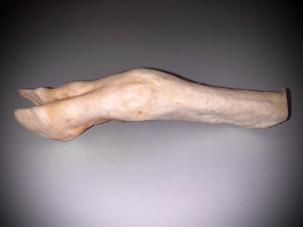 Lammfuß